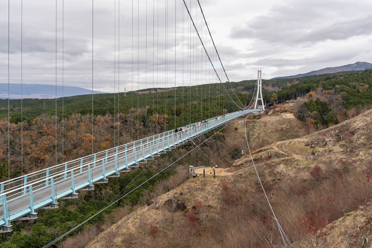 Mishima Sky Walk